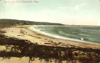 whitehorse beach